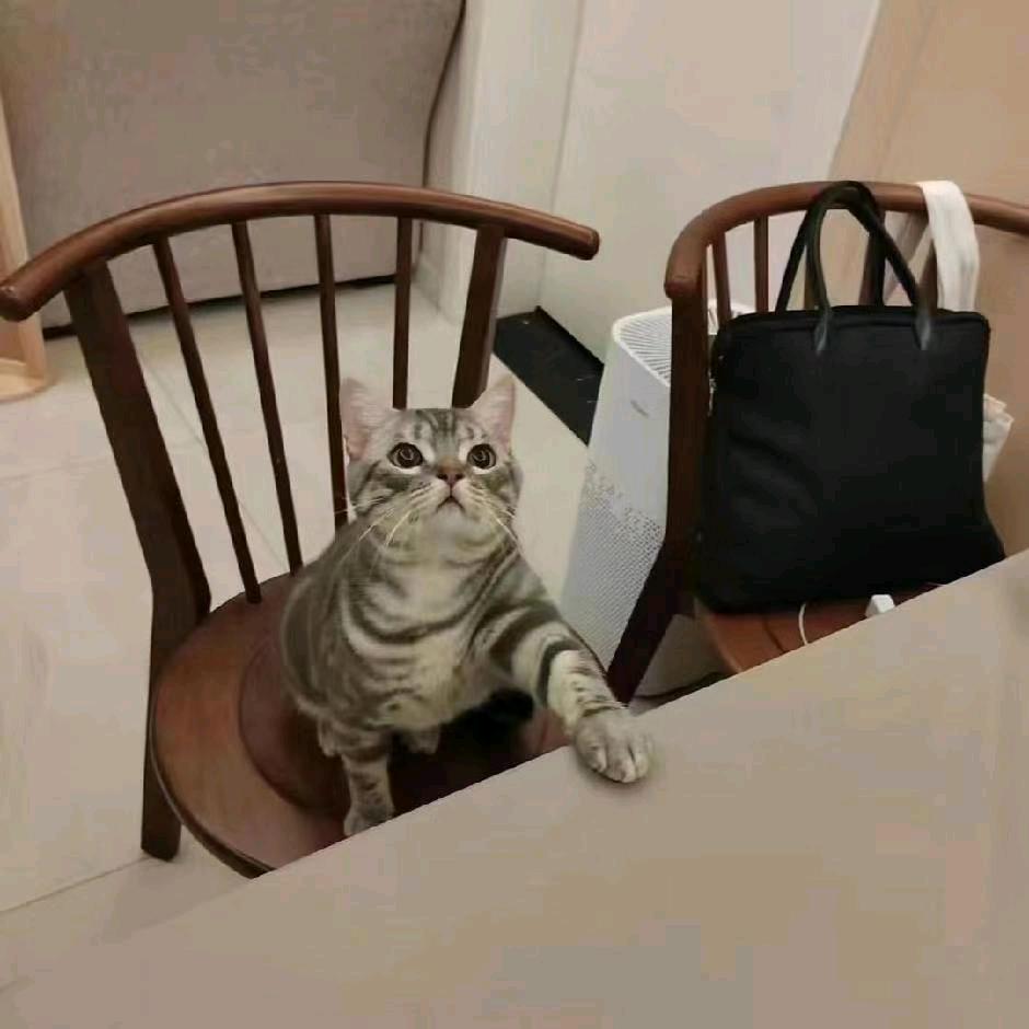 ，小晴天