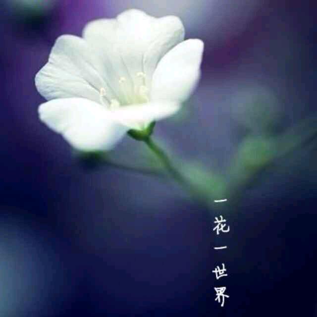 随遇而安