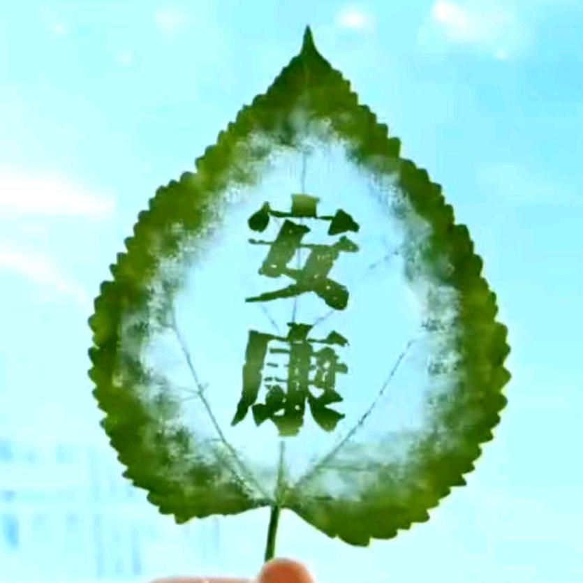大能能