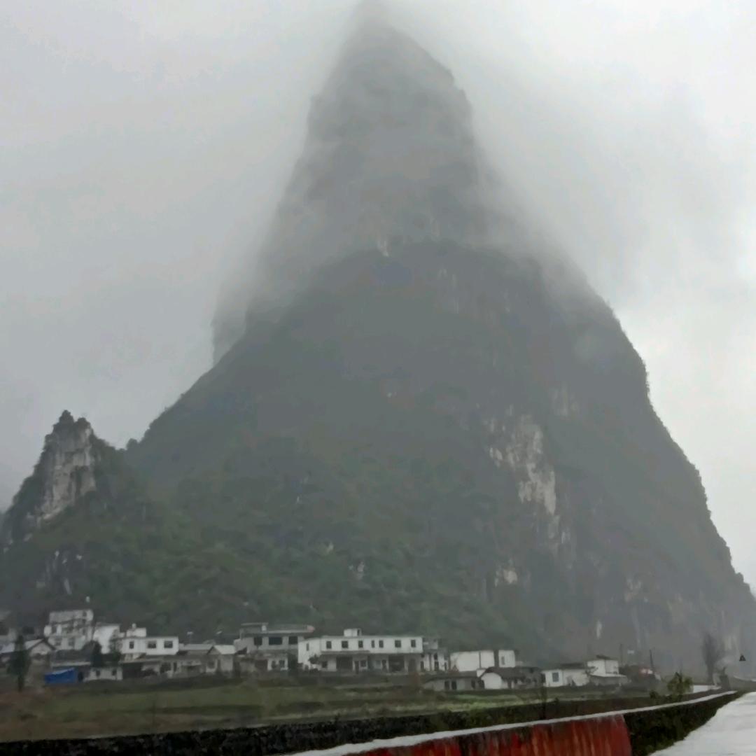 贵花生在贵石岩