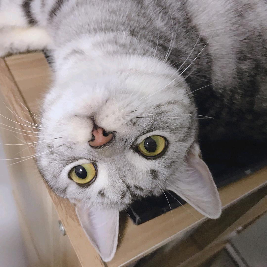 班味重也要休闲