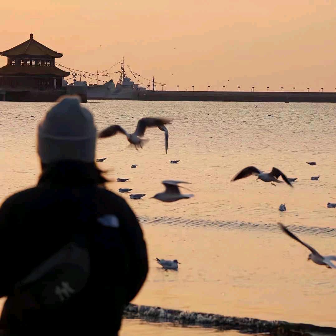 木木.
