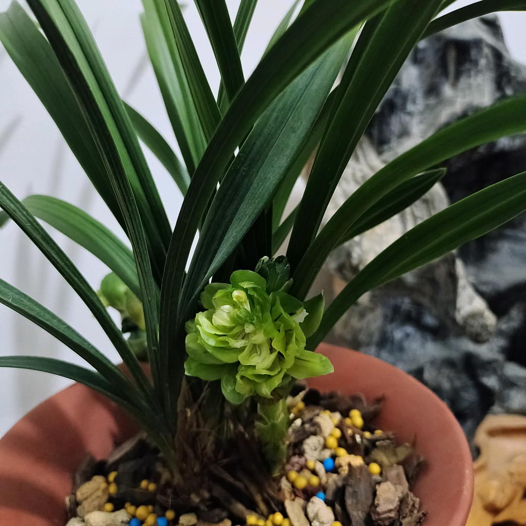 陈着冷静