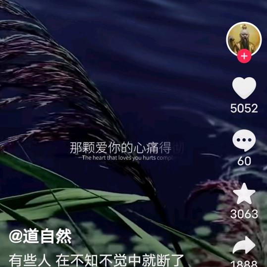 此生有缘