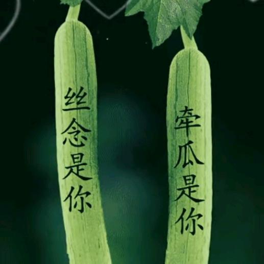 飞鹰