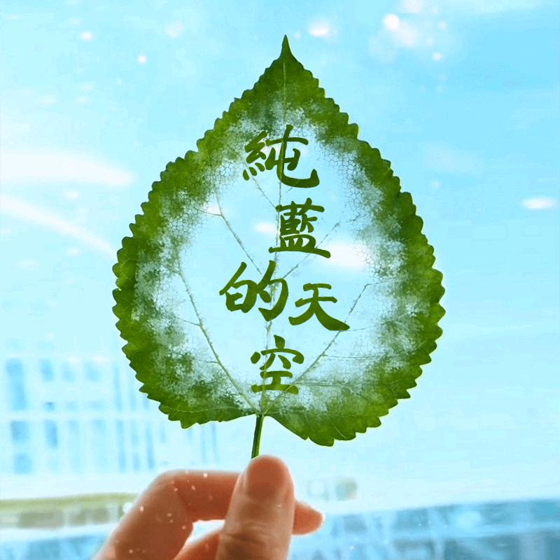 纯蓝的天空