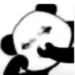 加载不出来