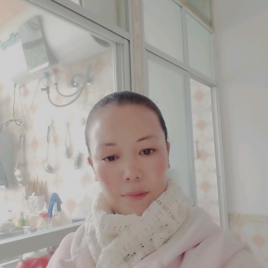 飞.菊