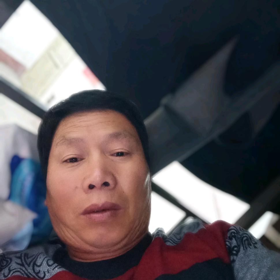 沙漠里的骆驼