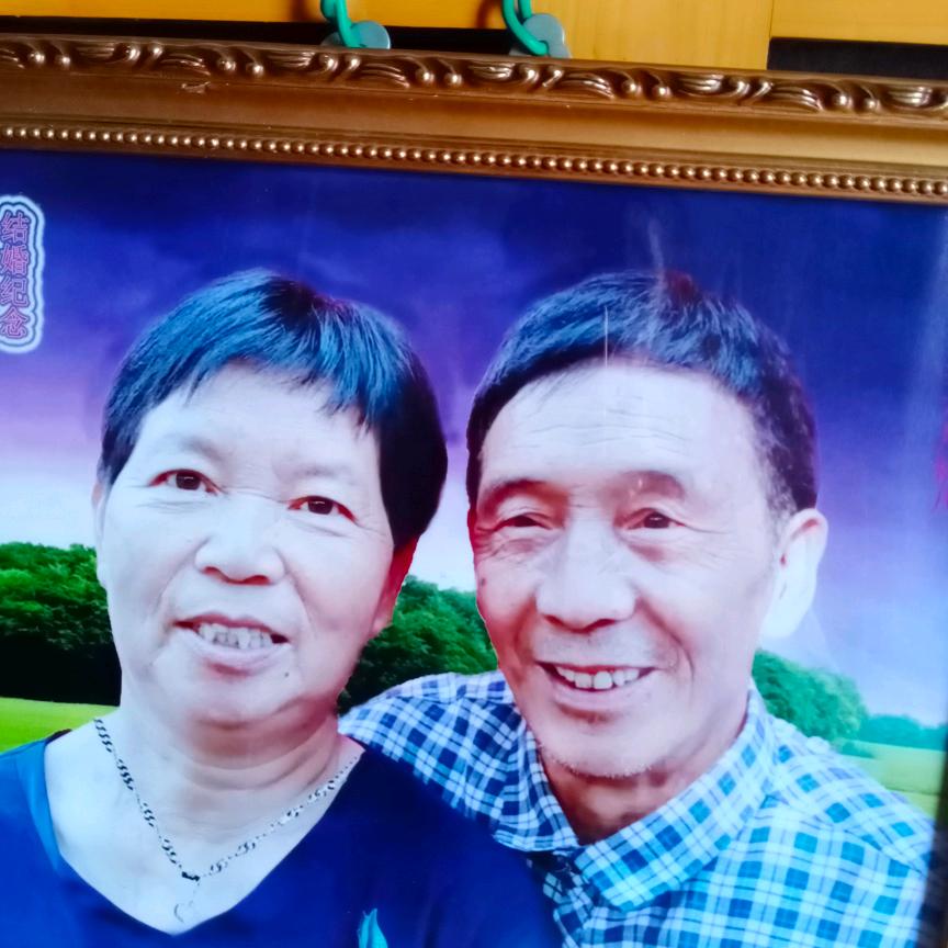 老杨
