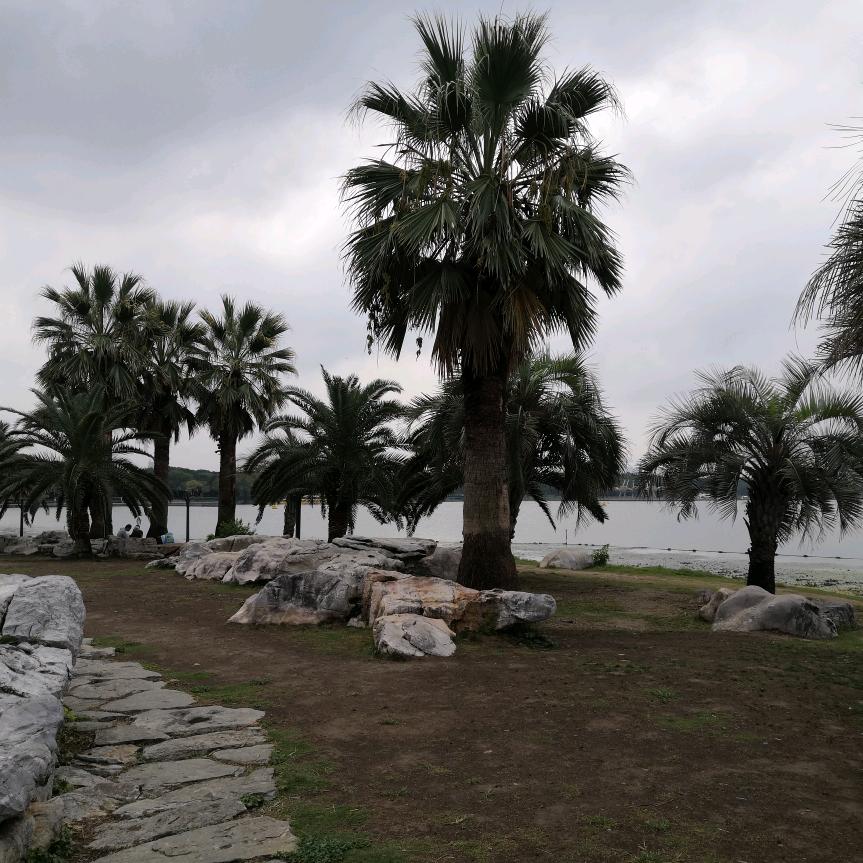 (奋斗)，顾海峰