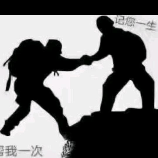 有志者事必成