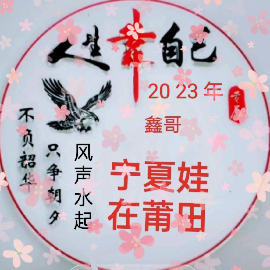 至尊鑫仔