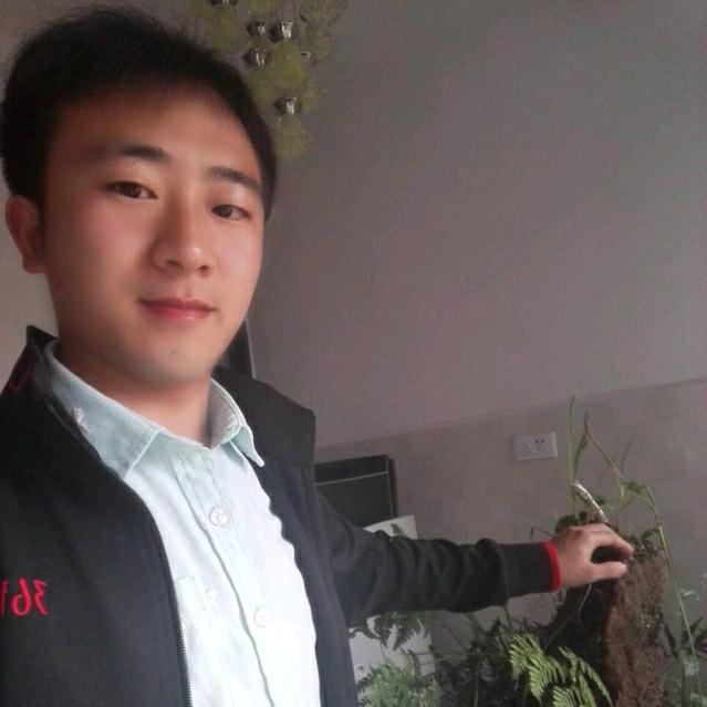 施政，赤水小哥专一美缝