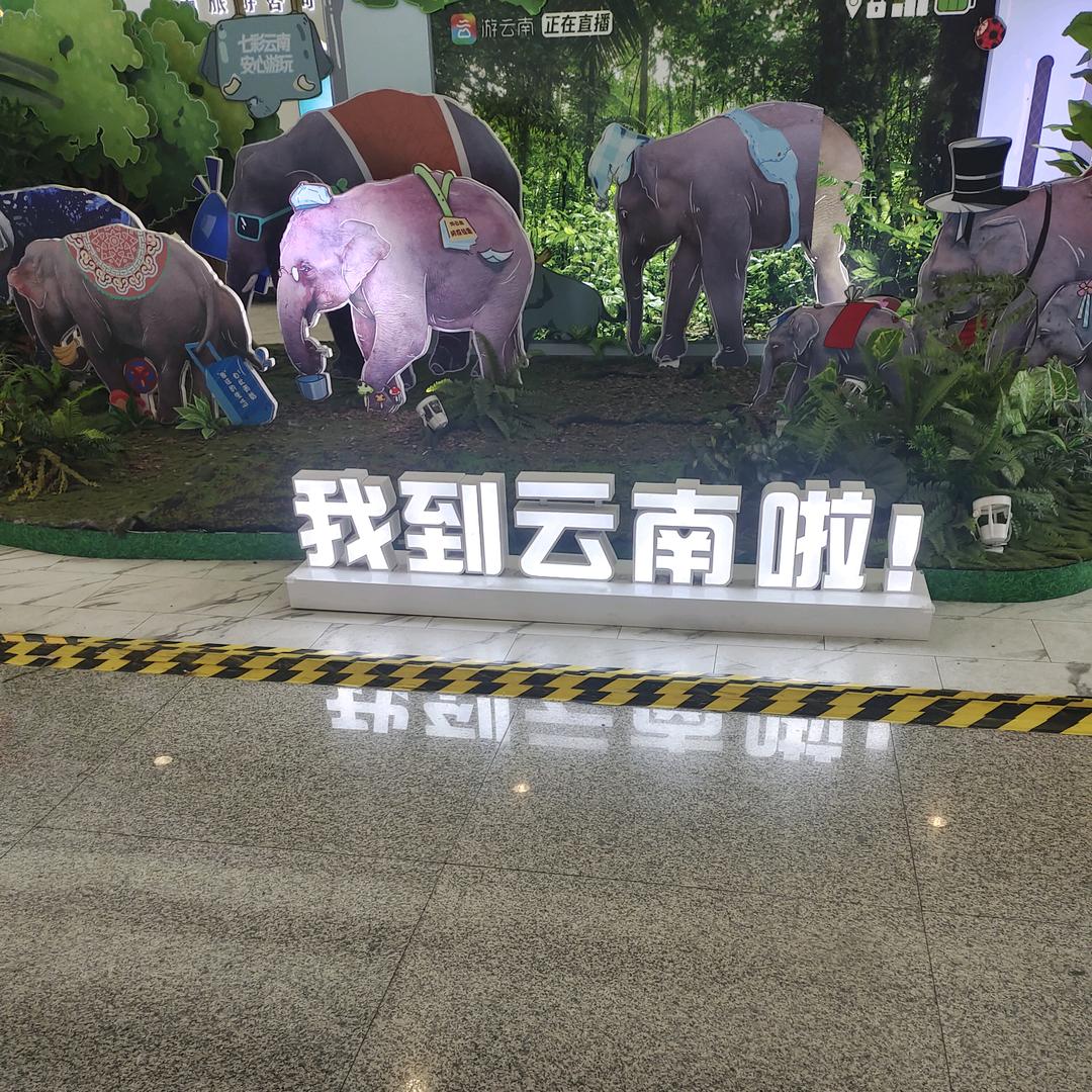 鱼的天堂在海底