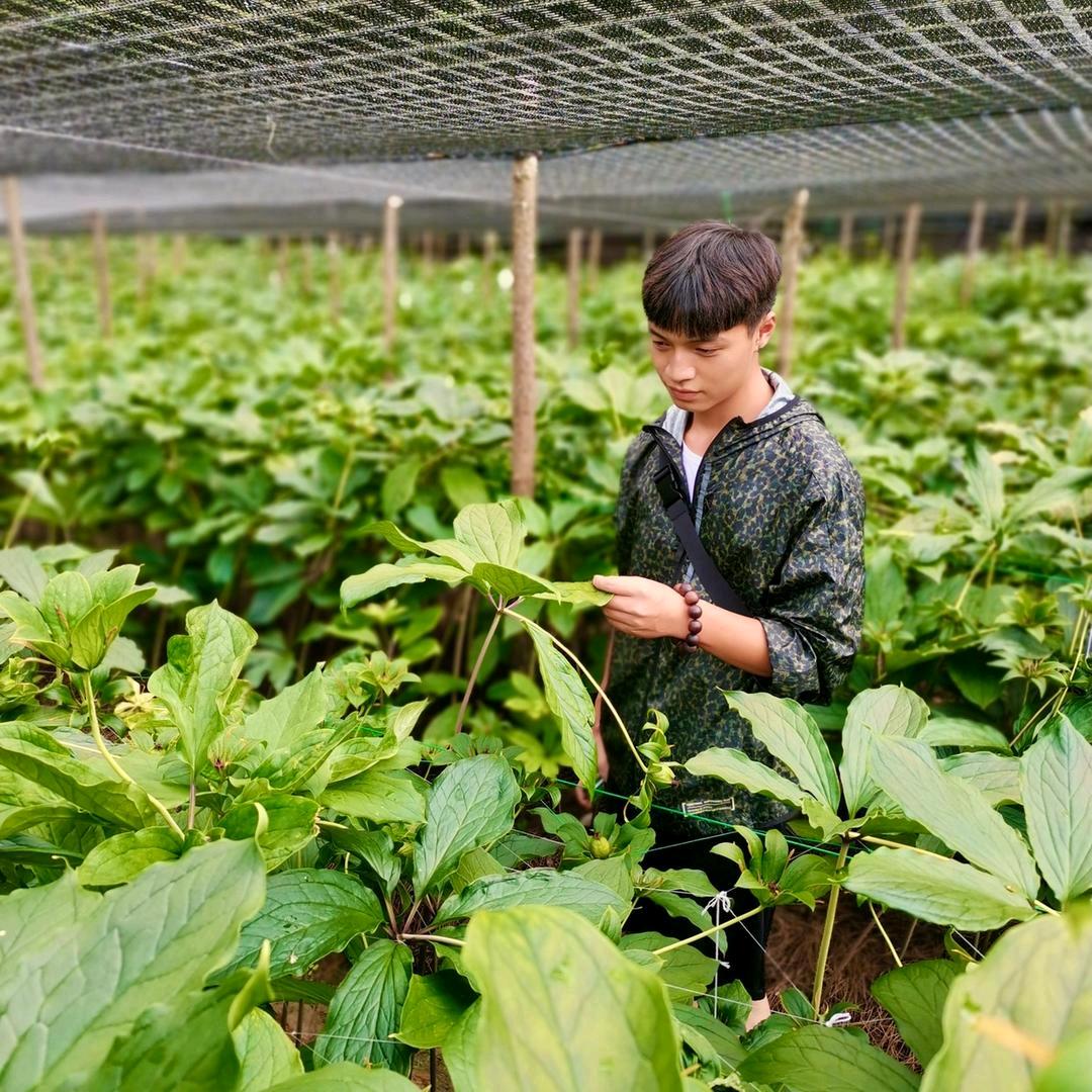 黄精三农小严哥