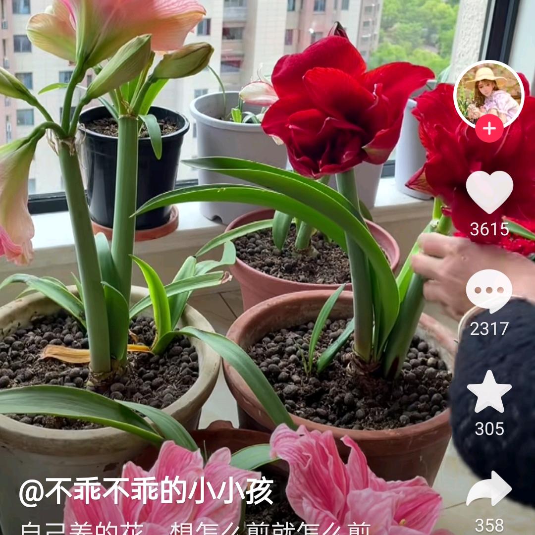 小脾气