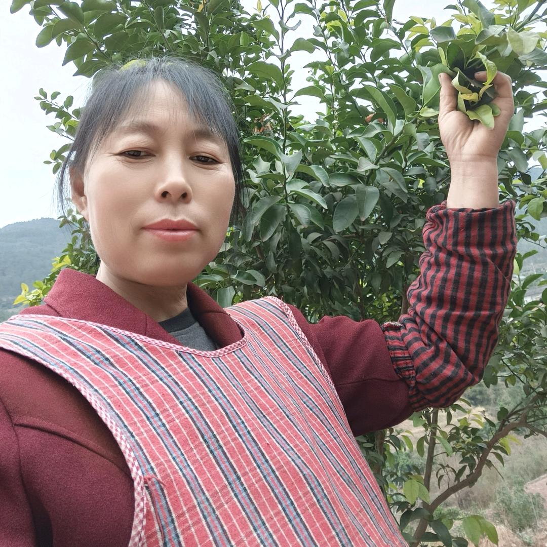赵三妹