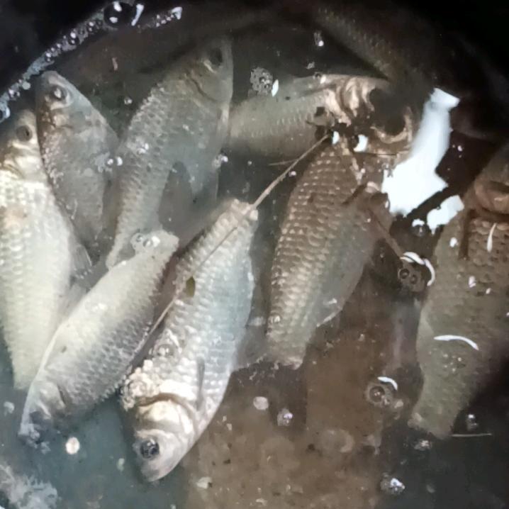 漫步乀人生