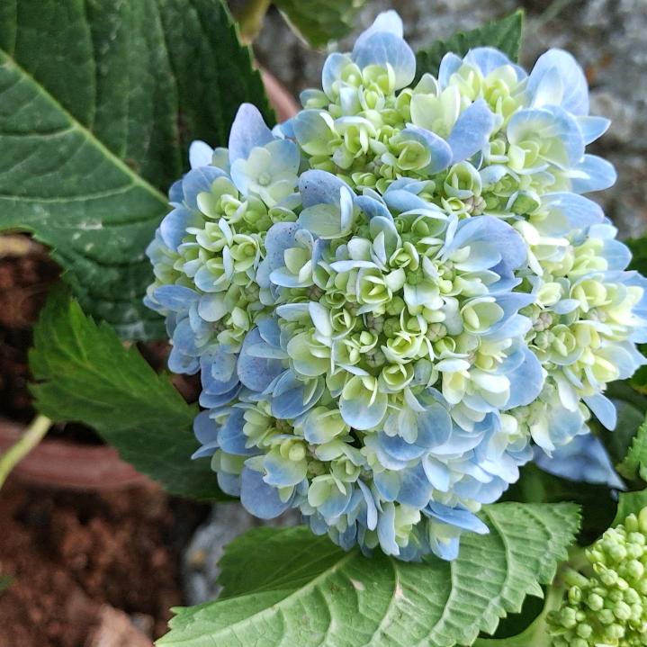 十号信箱