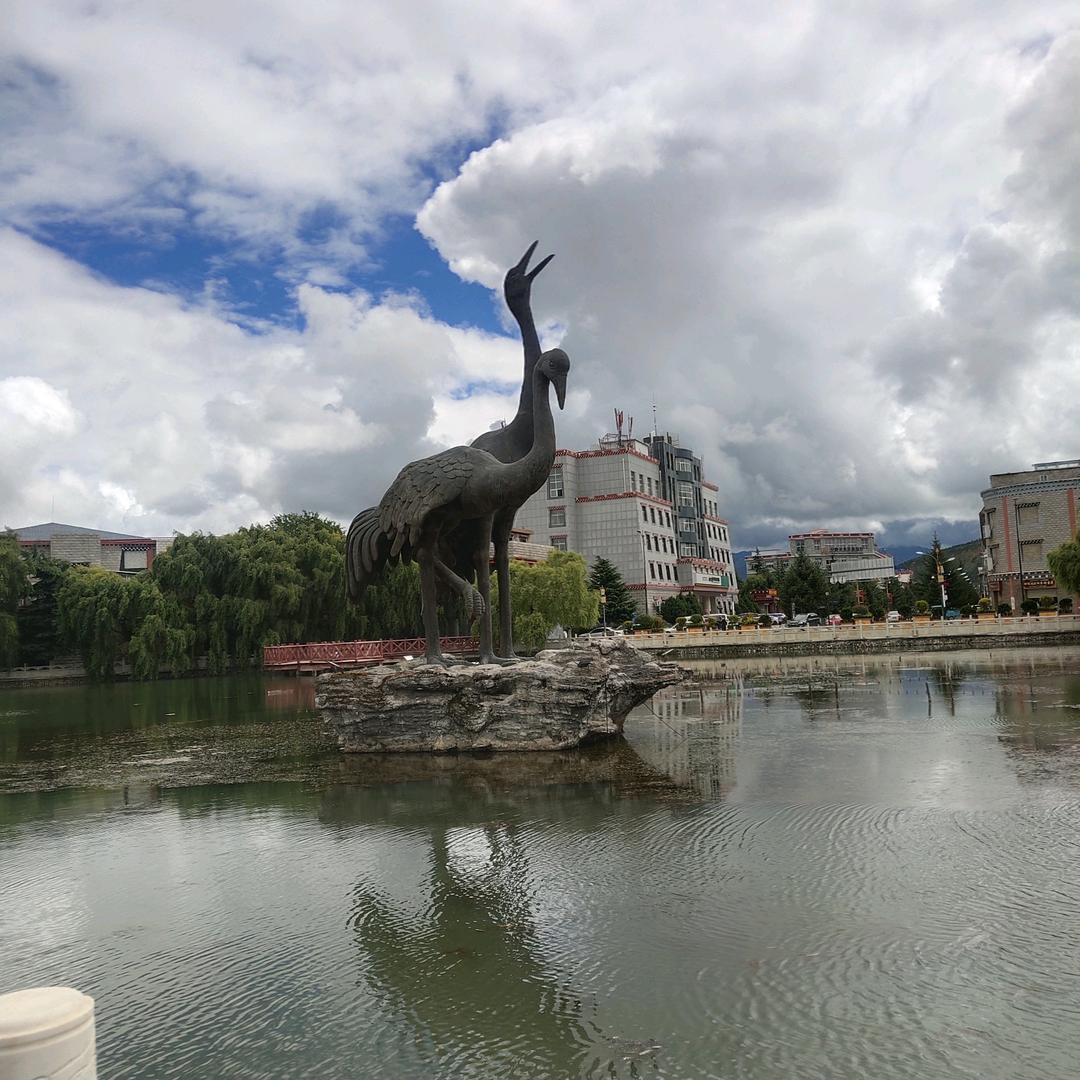 沐情