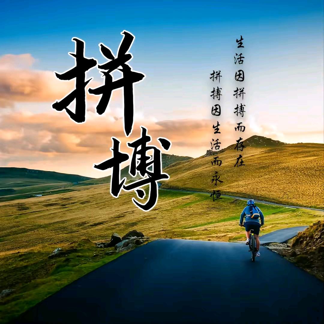 《濮阳鸡粪哥》