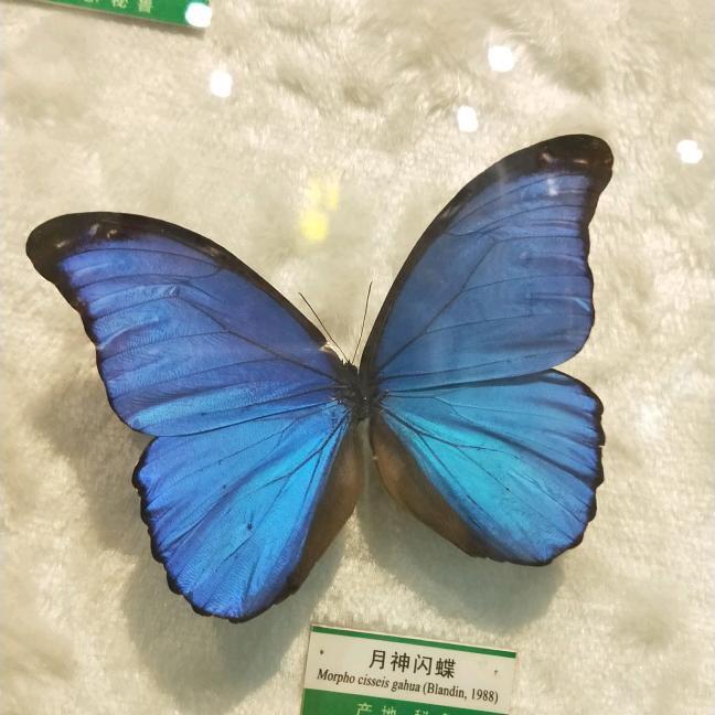 请您记得…………