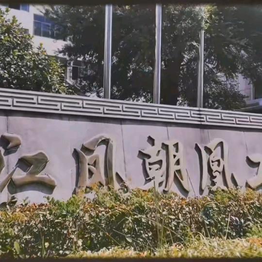 浙江凤朝凰针织