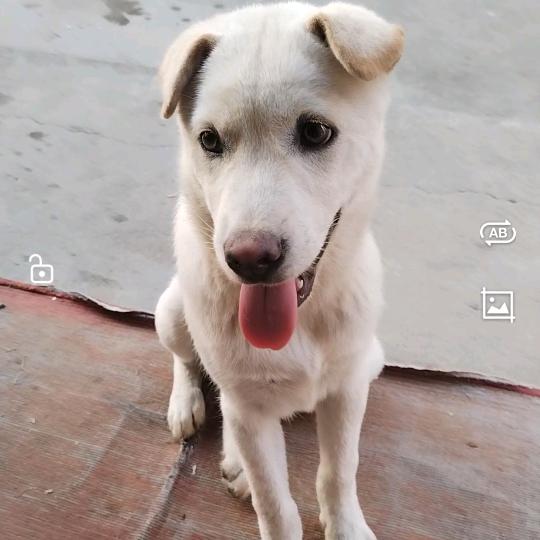 小布百货