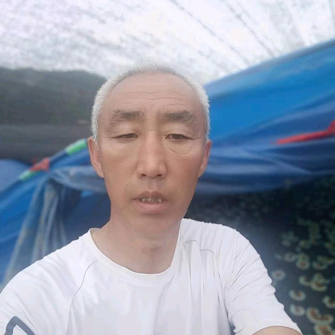 王大地，，，，，，