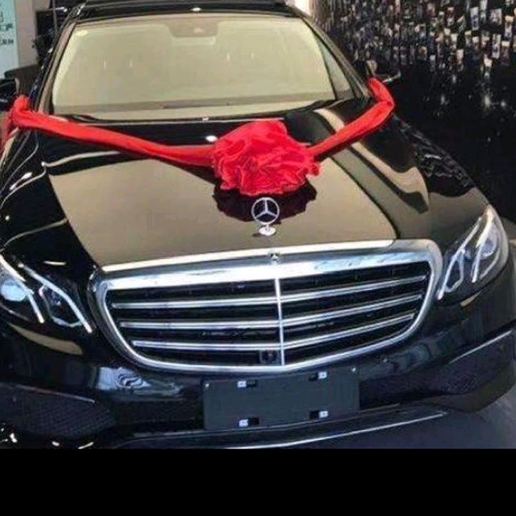 放飞心情(锋哥)