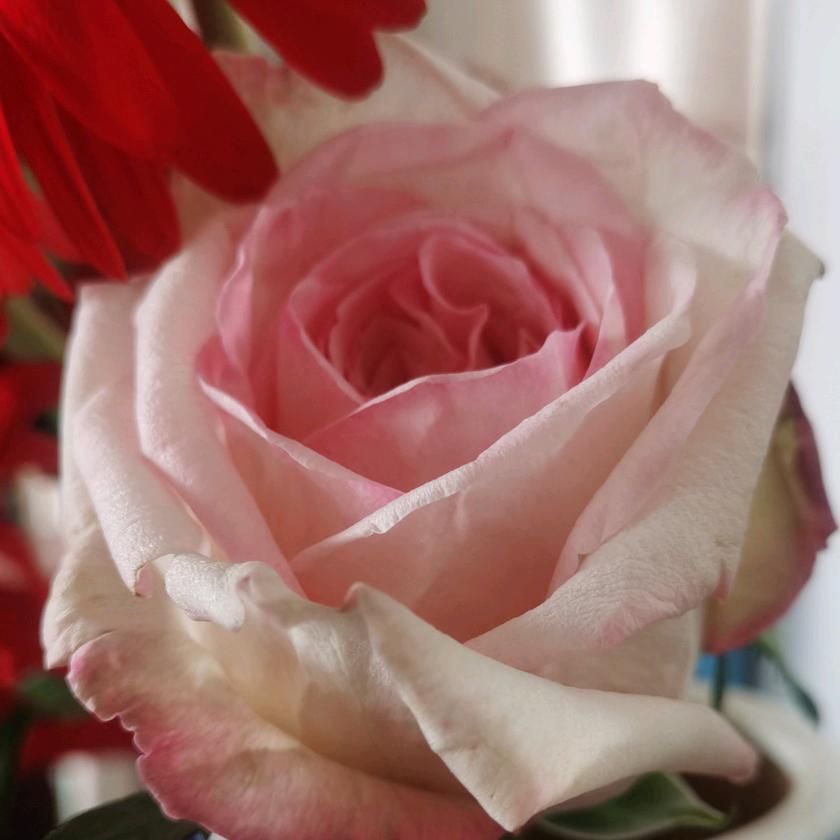 心想事成万事如意