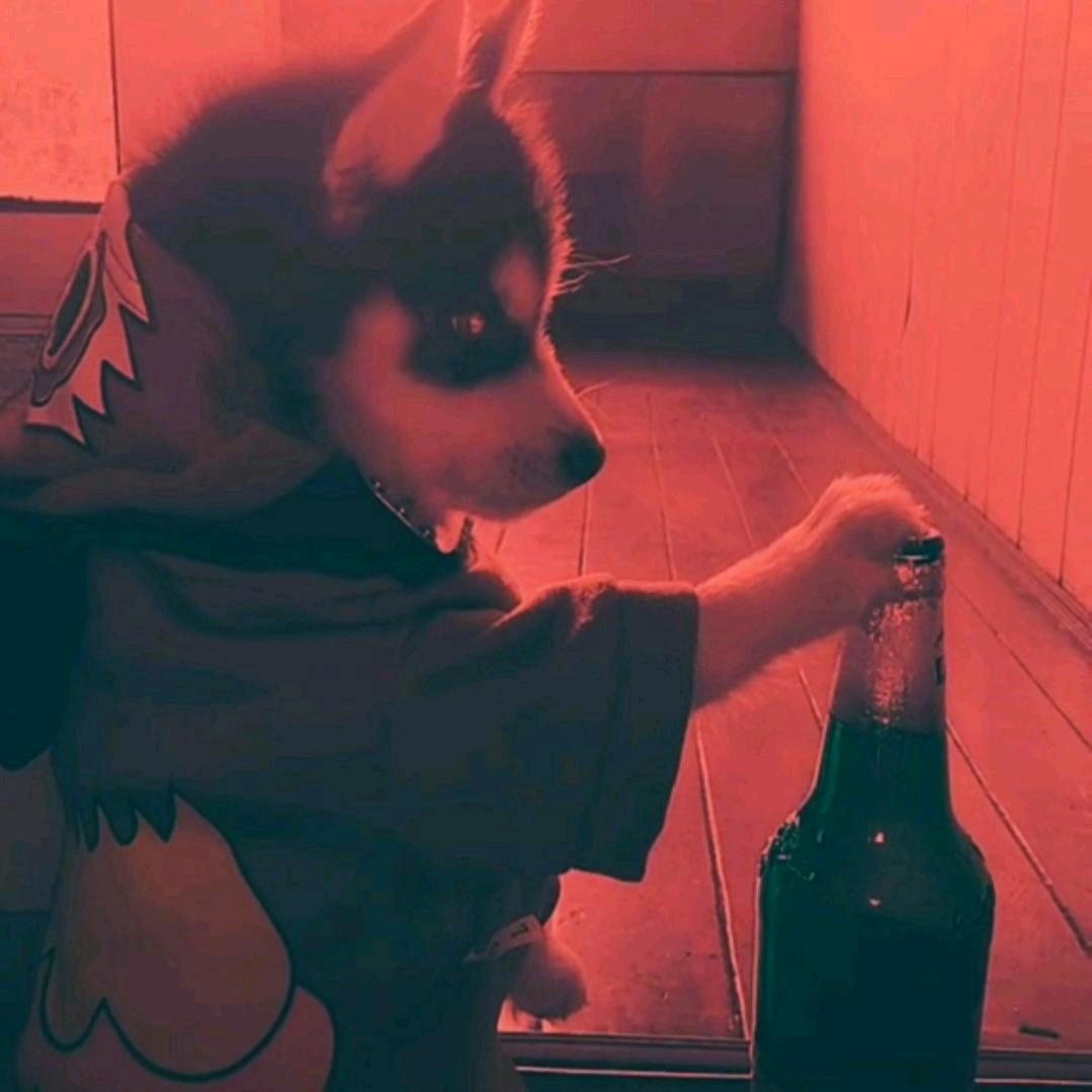 浊酒一