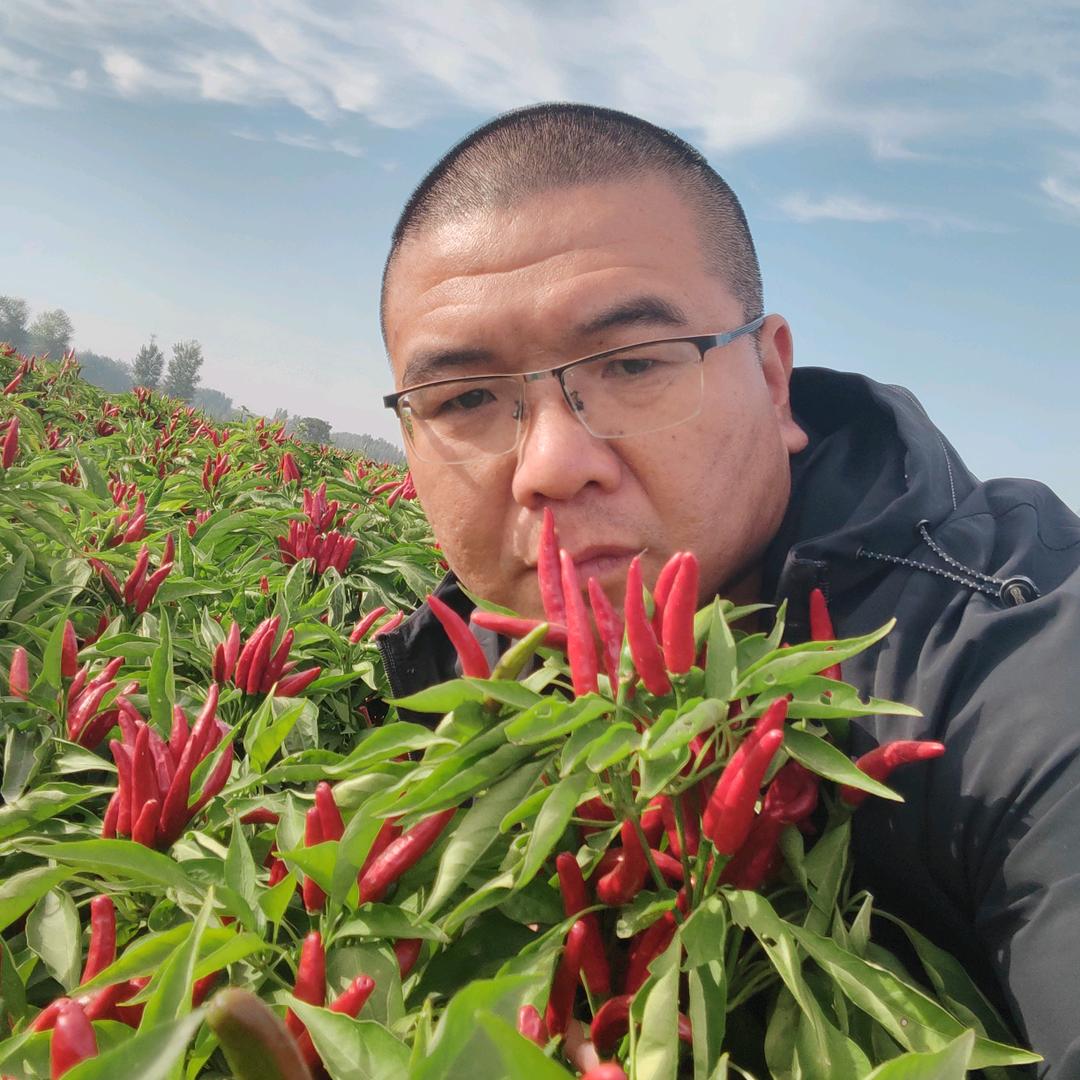 王向杰