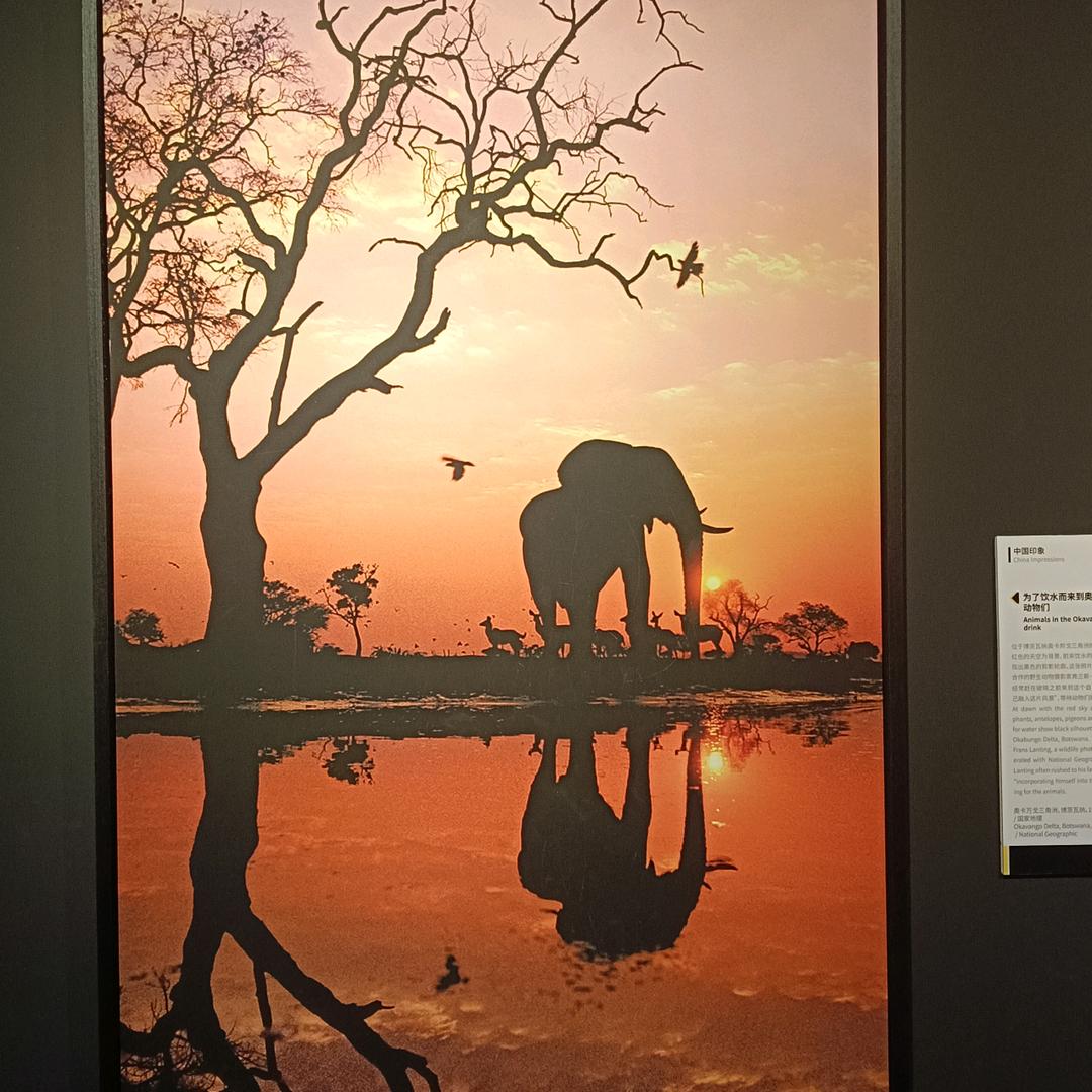 心理咨询师任老师