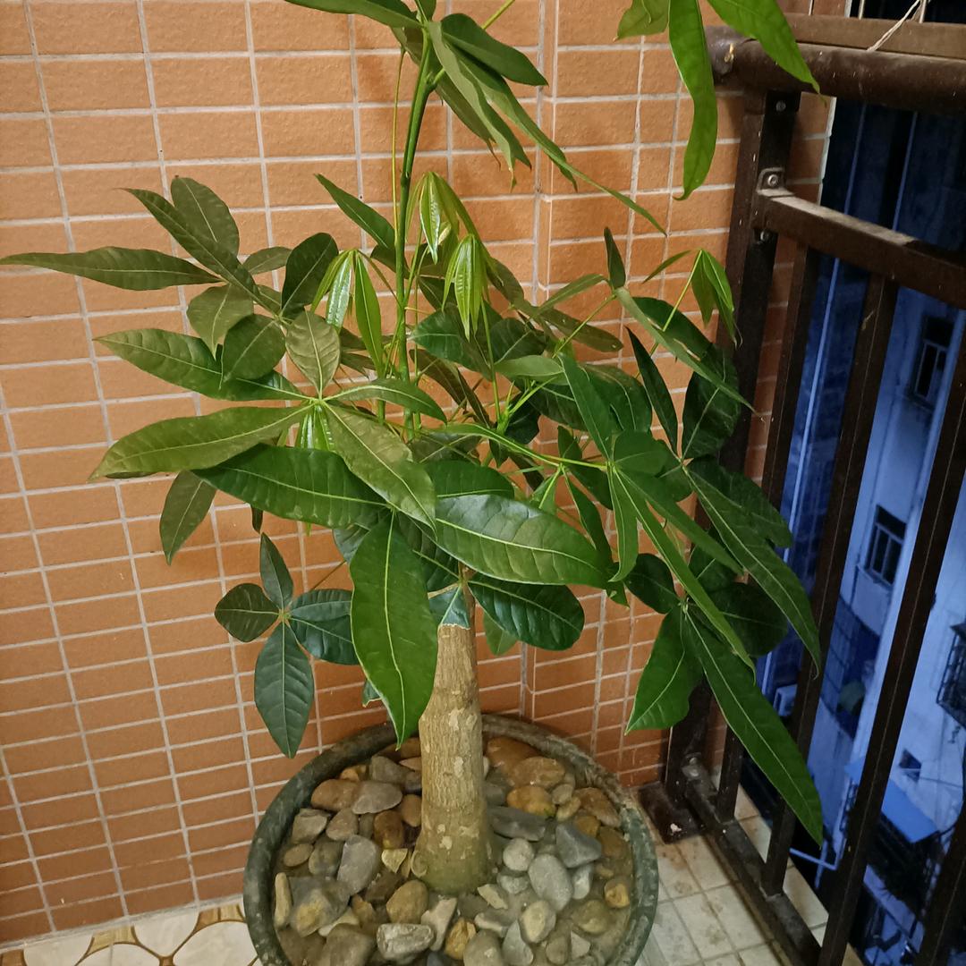 过好自己的