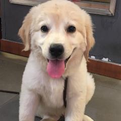 杨吴文玲秀敏