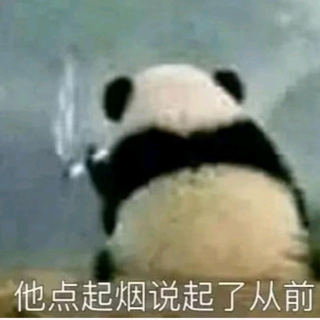 桥洞青年