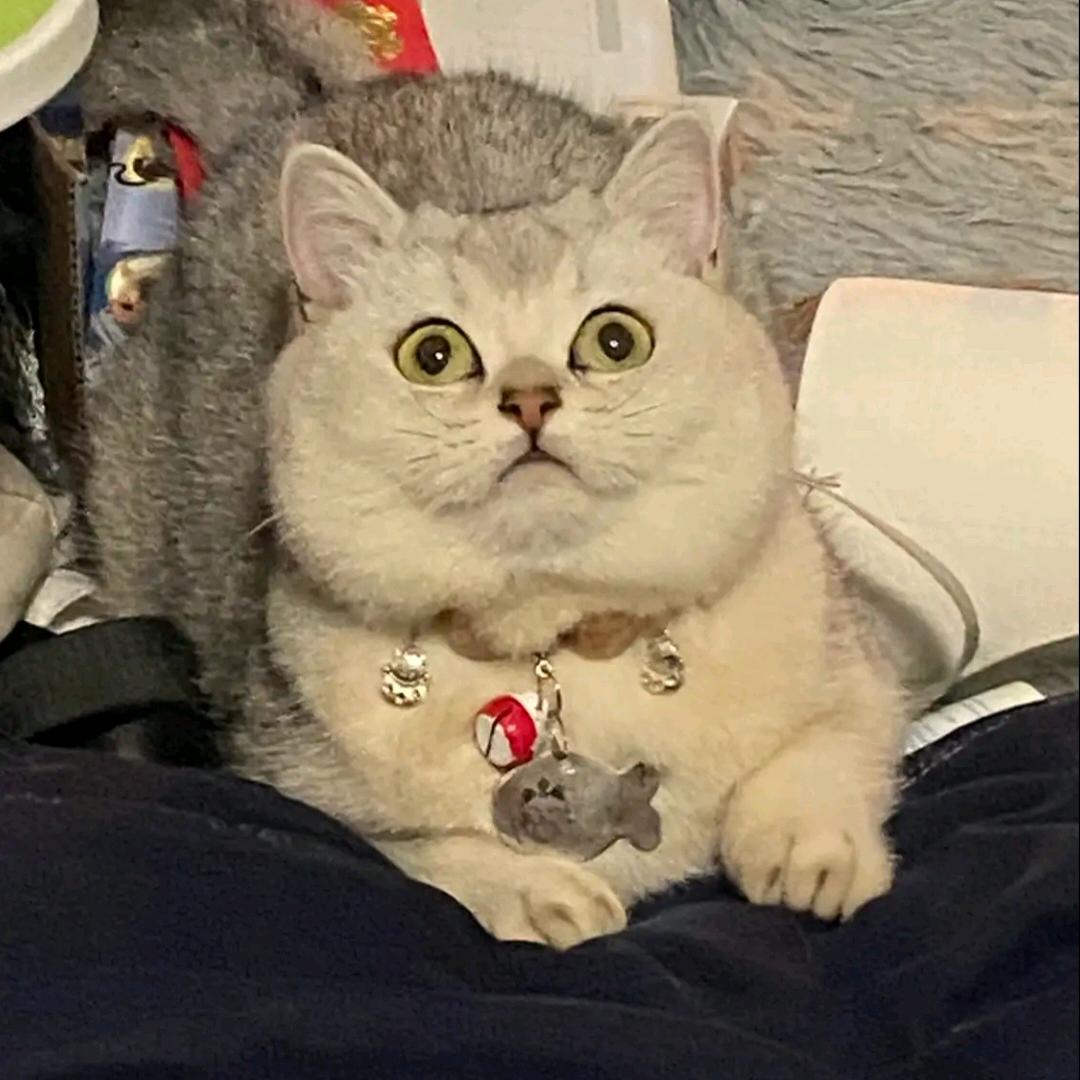 联合不锈钢.铜艺.铝艺