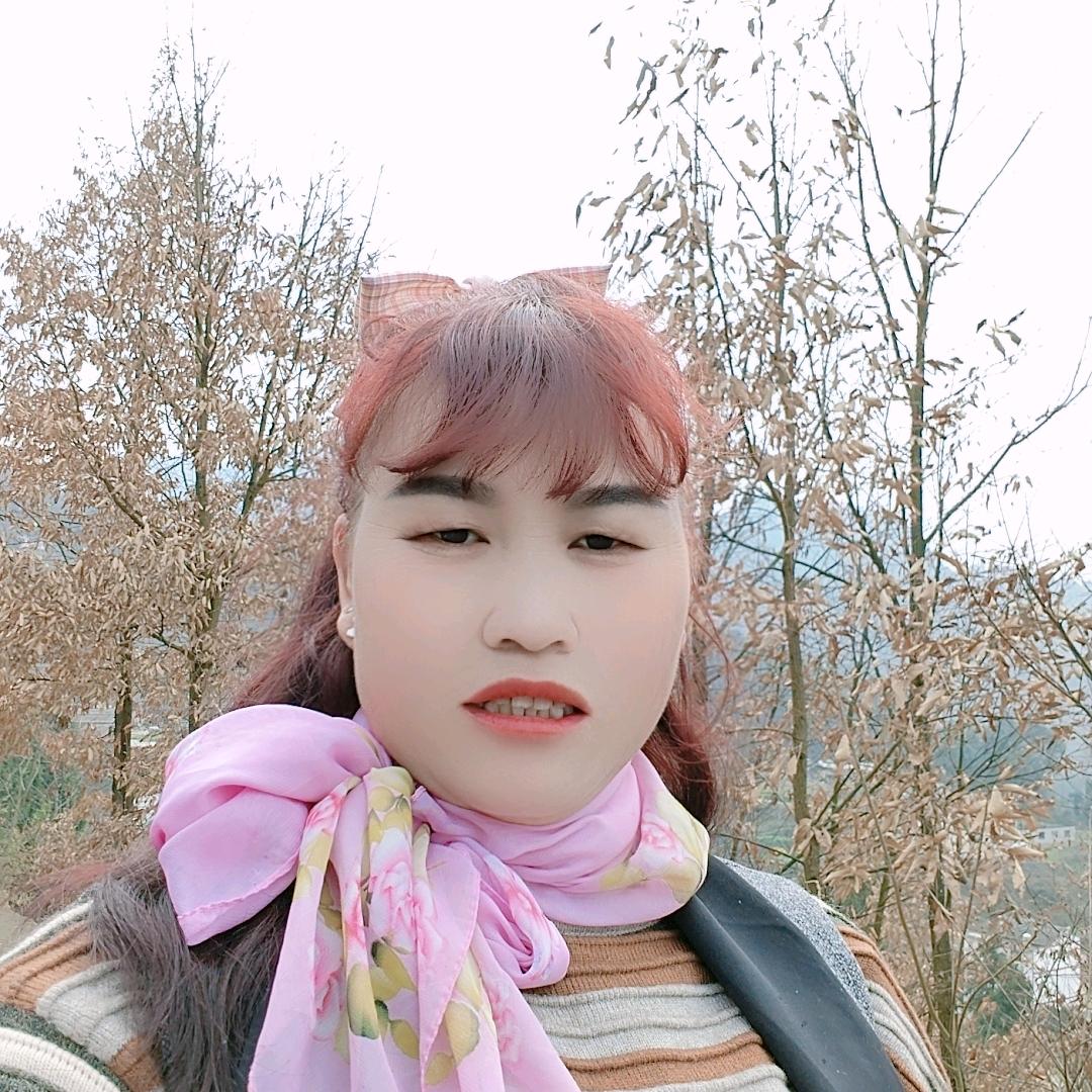 雅琴