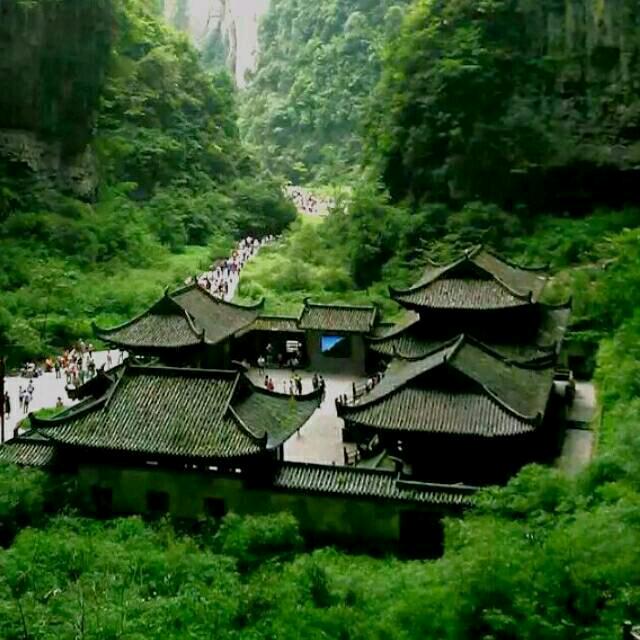 叫我小青