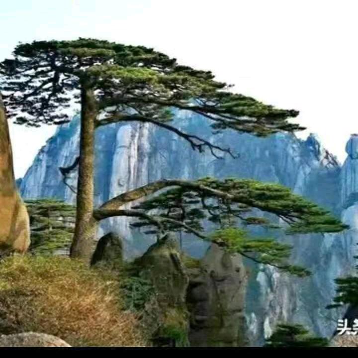 千山一碧