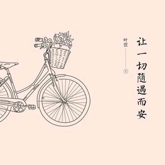 bo  博  哥  们