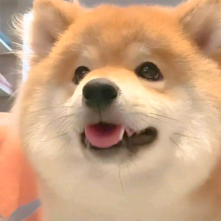 沉默