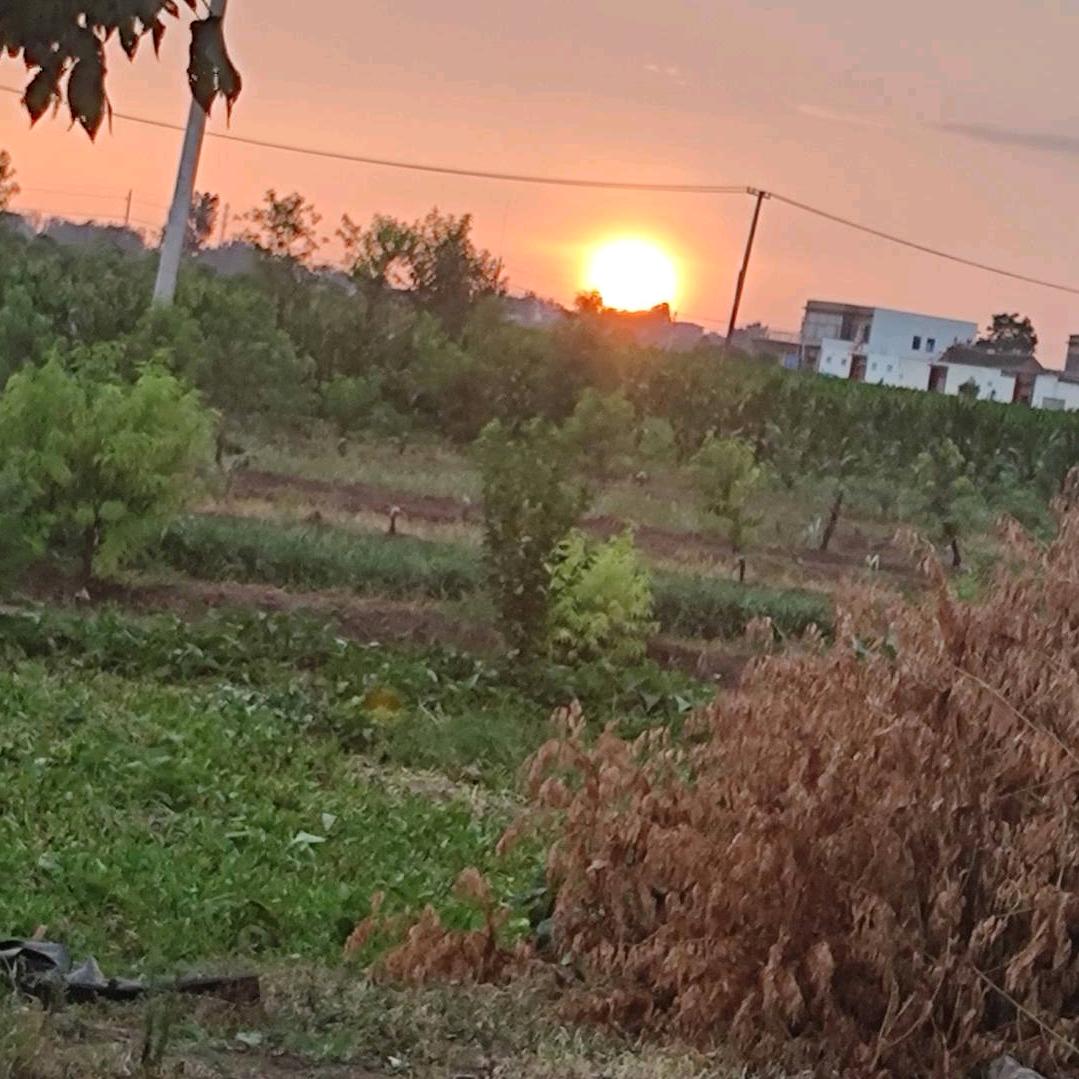 活在当下