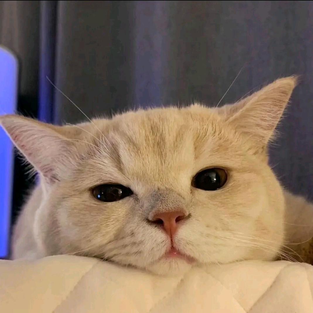 天宇