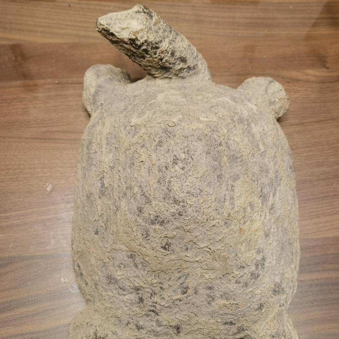 腾达