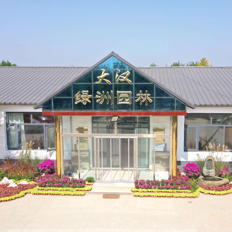 500亩假植苗基地