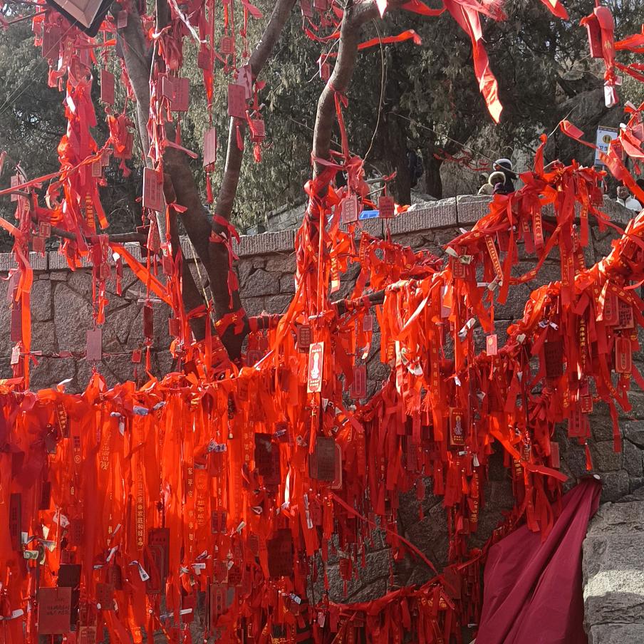 静待花开，(✪▽✪)