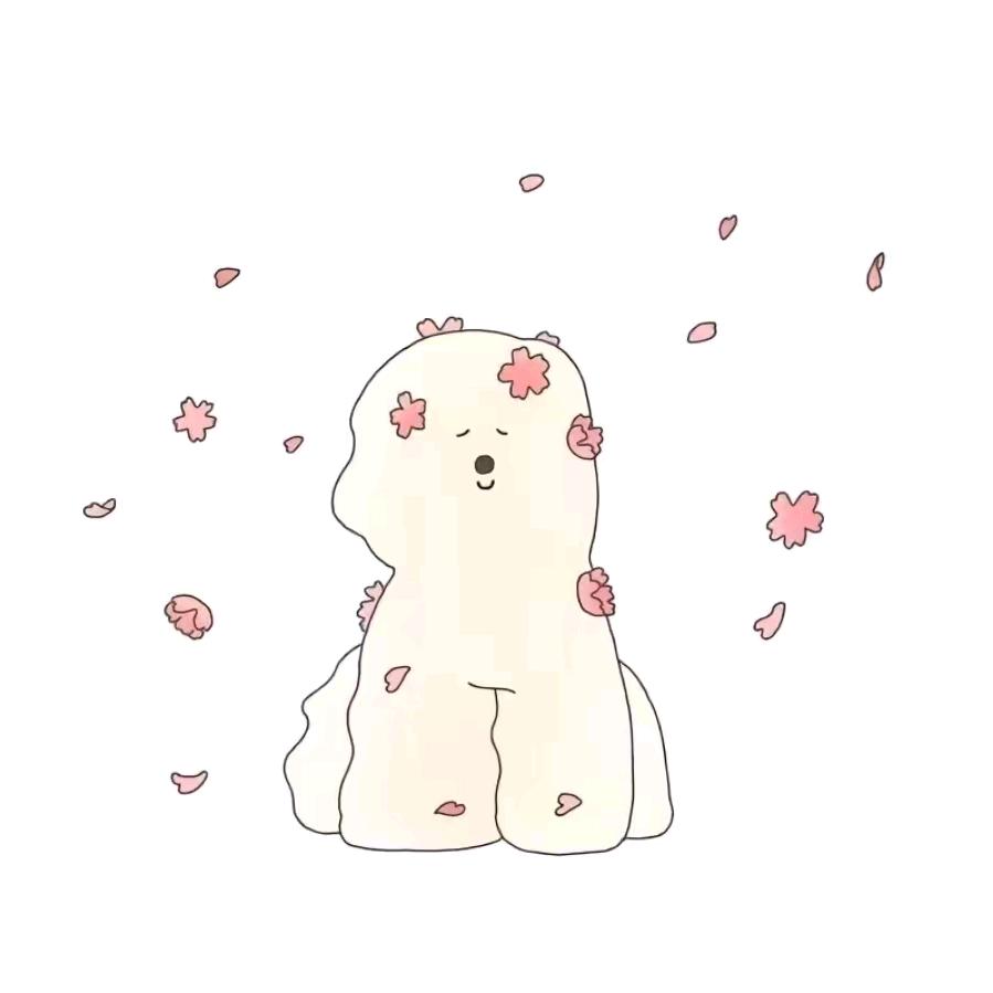 aa丹